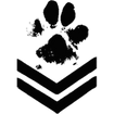 Muddy Paws
 Do-It-Yourself
 Dog Wash