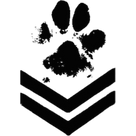 Muddy Paws
 Do-It-Yourself
 Dog Wash
