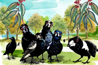 Illustration of a group of black and white birds in a park.