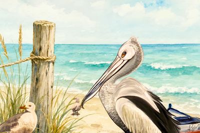 Pelican on a beach near the ocean.