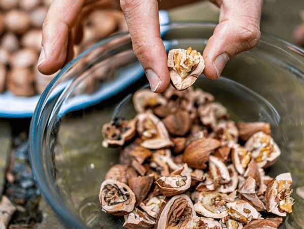 hand holding a freshly shelled pecan over a bowl of cracked pecans. 