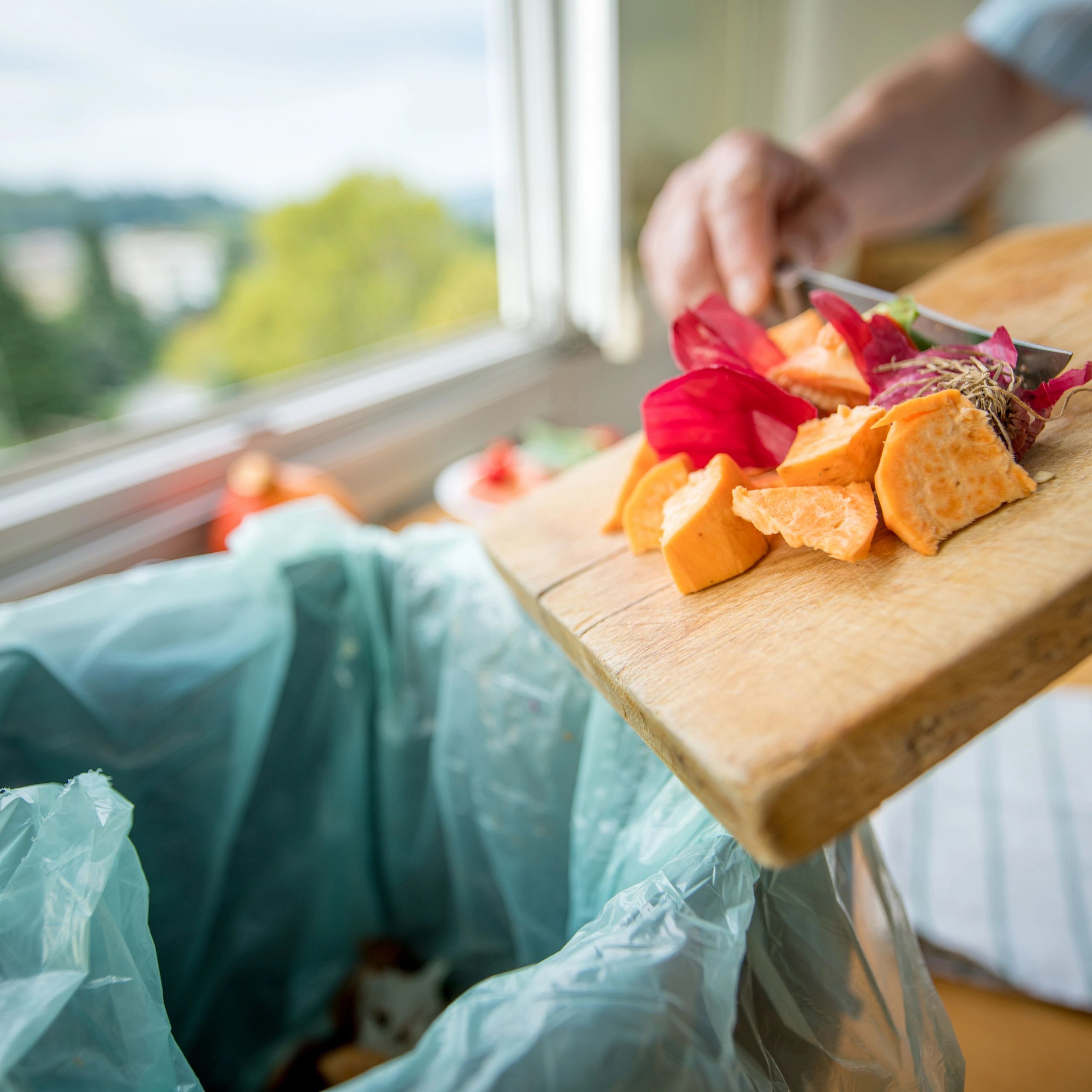 Food Waste in the UAE and Its Management for A Better Future