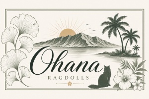 Ohana Ragdolls