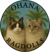 Ohana Ragdolls