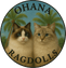 Ohana Ragdolls