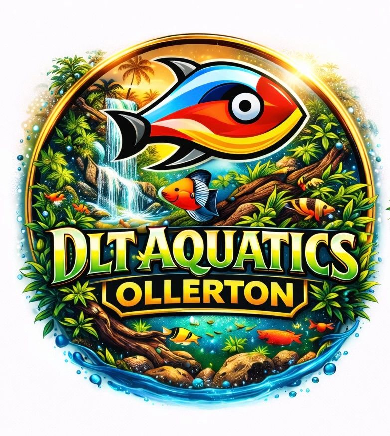 DLT Aquatics's Logo