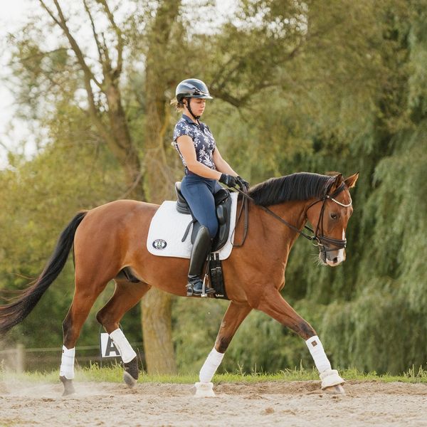 Photo credits to Doswell Creative 