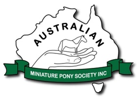 Australian Miniature Pony Society Inc