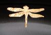 Dragonfly Cutout