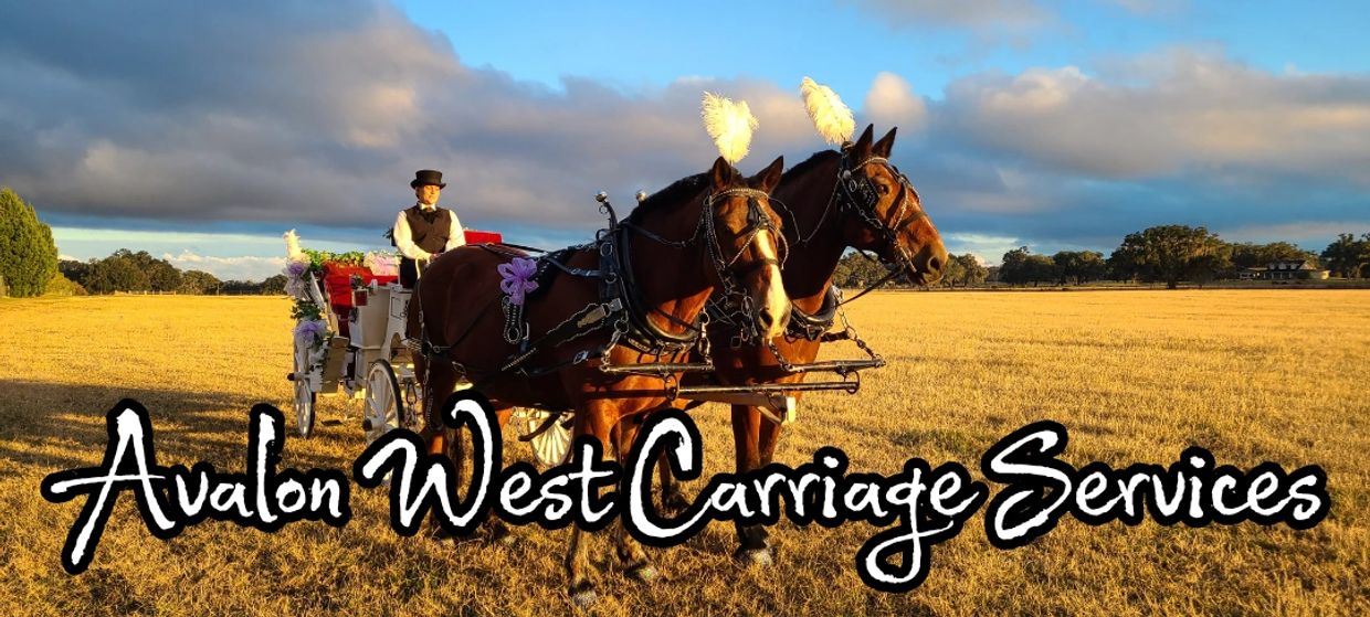 Our Supporters Florida Rainbow Alliance