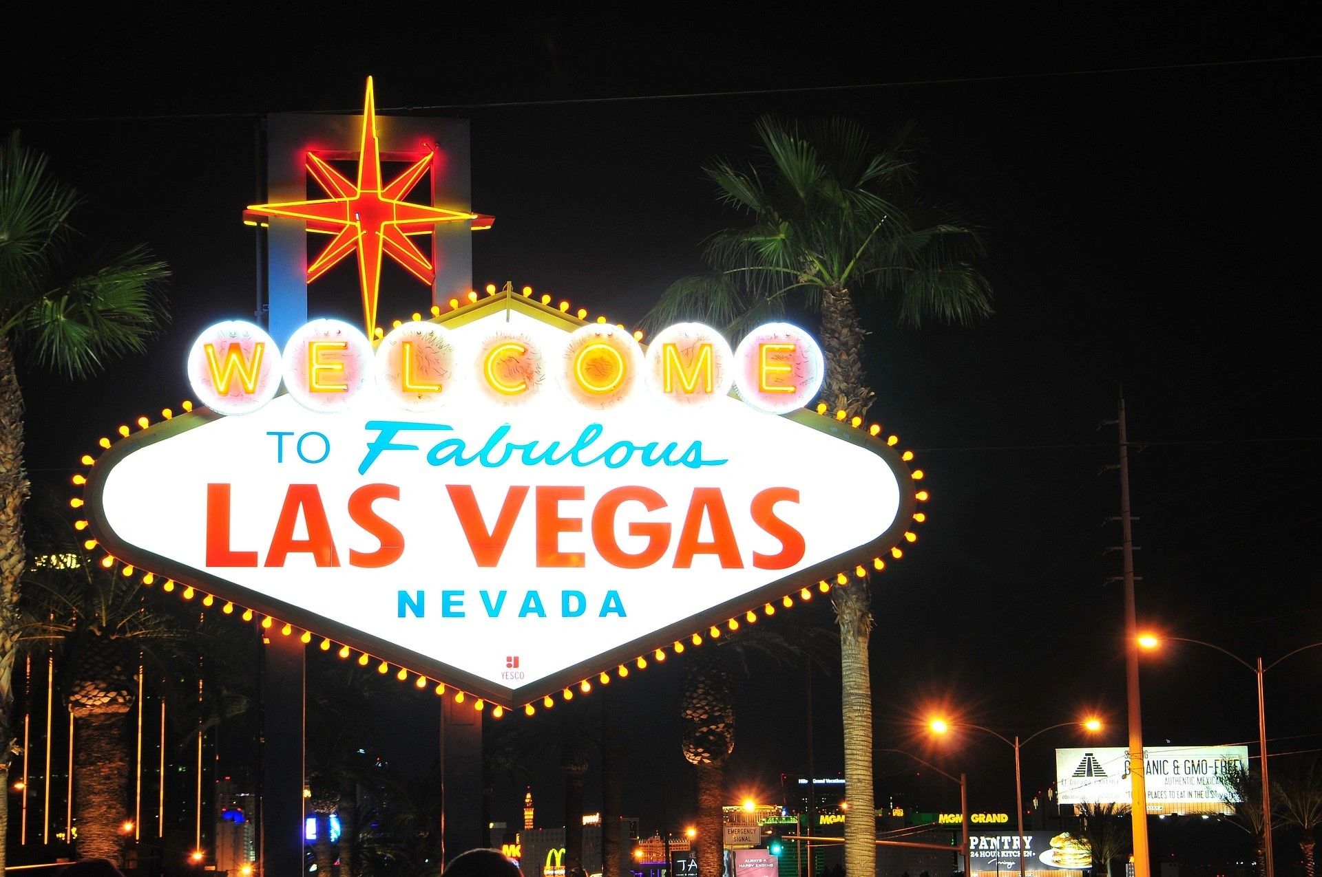 Neon-lit Welcome to Fabulous Las Vegas sign at night with palm trees.