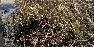 Yard debris removed by TextMeYourJunk.