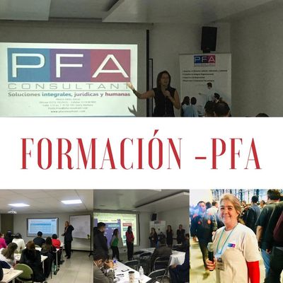 Formación empresarial Pfa Consultant