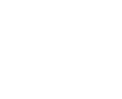 Red River Electric