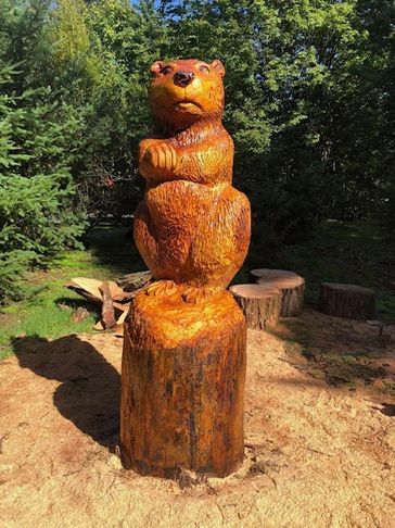 A wooden bear sculpture carved from a tree stump in a sunny forest clearing.