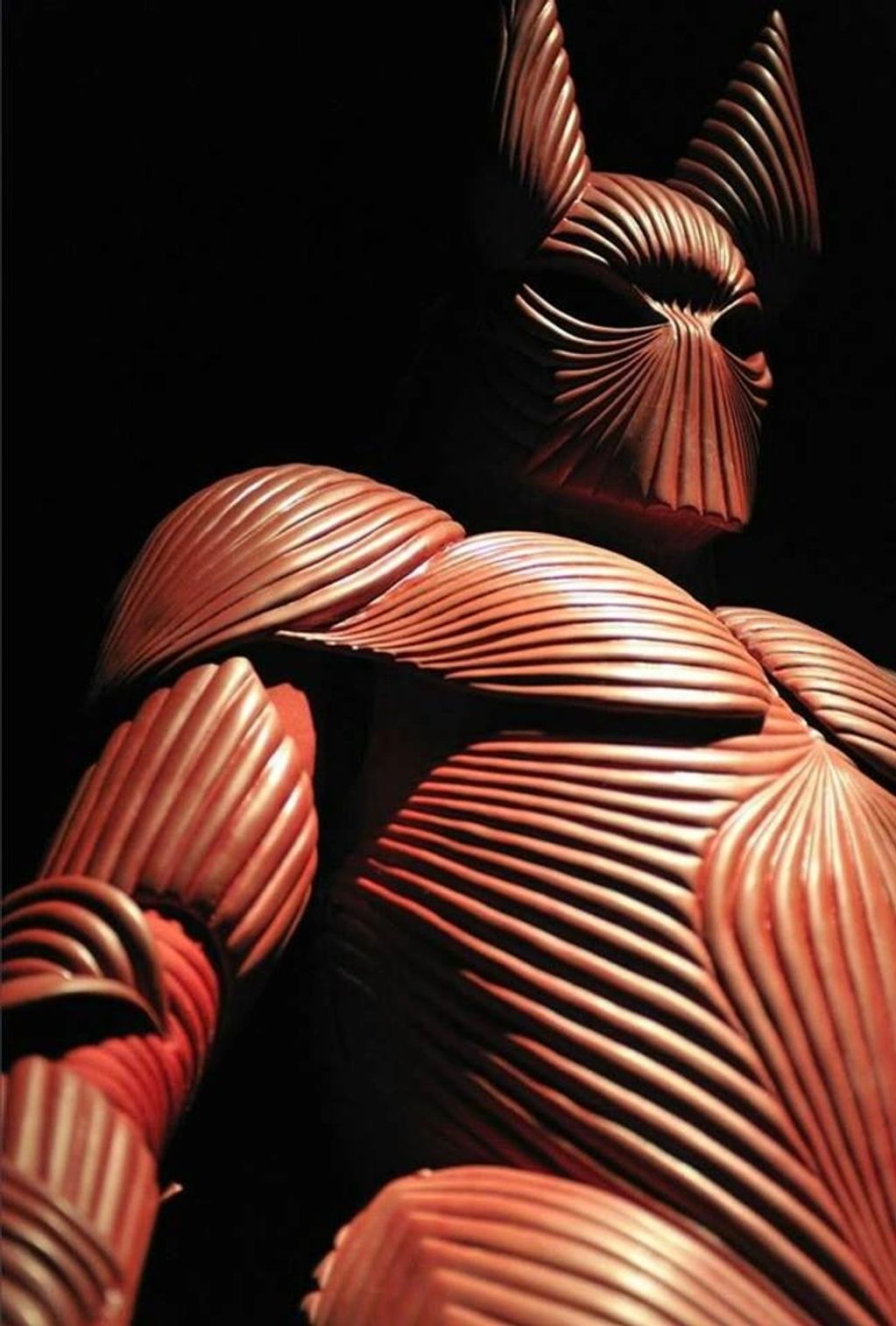 Image is a closeup of Dracula's armor.