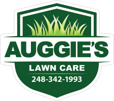 Auggie's Lawn Care