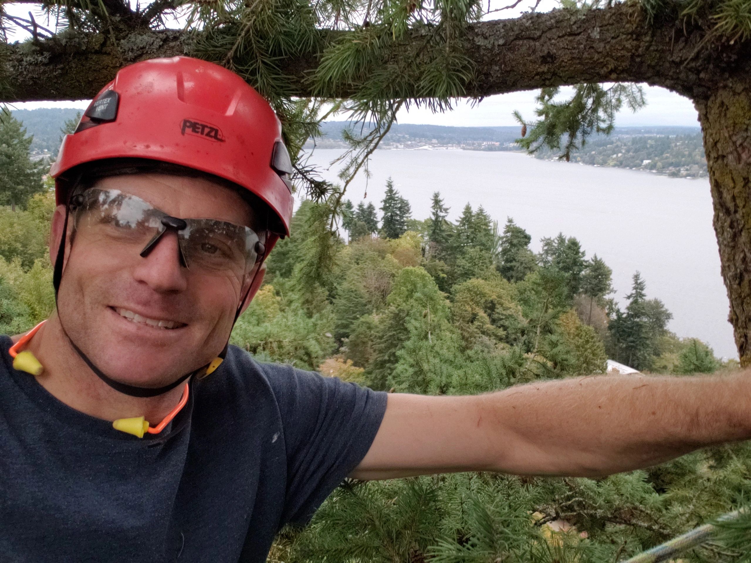 Westside Tree Care work site