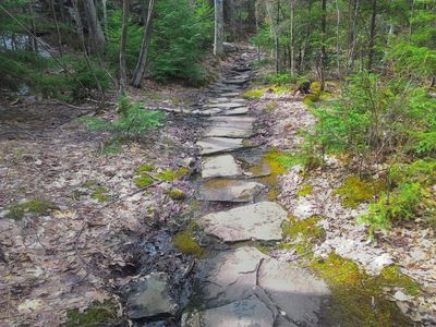 Section of trail in the Catskills