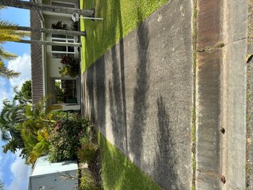 Driveway leading to a house with palm trees and a mailbox.