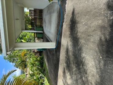 A driveway beside a house with tropical plants and a garden hose.