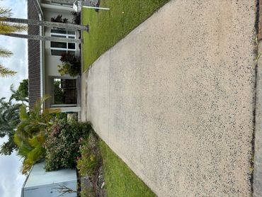Clean concrete driveway leading to a single-story house with greenery.
