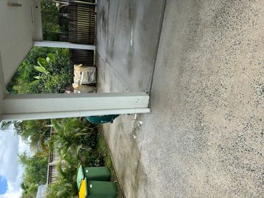Wet concrete driveway with green bins and tropical plants nearby.