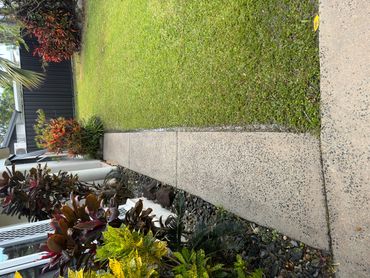 Concrete walkway beside a garden with green grass and colorful plants.