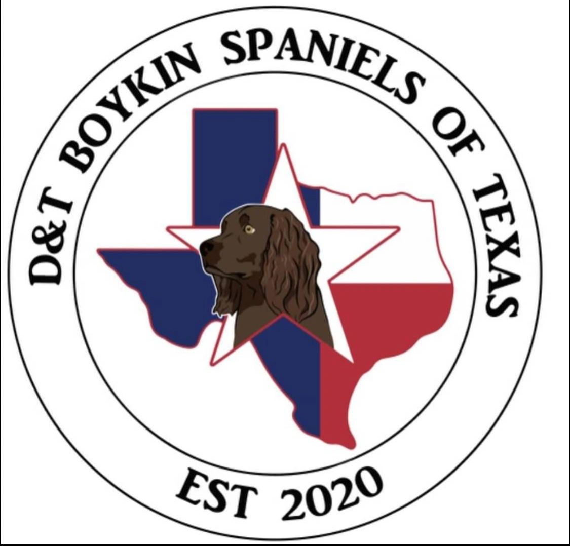 D&T Boykin's Spaniel's of Texas