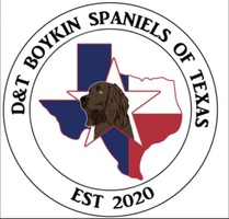 D&T Boykin’s Spaniel’s of Texas