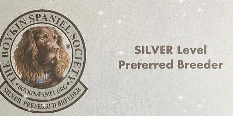 Boykin Spaniel Society Silver Level Preferred Breeder badge.
