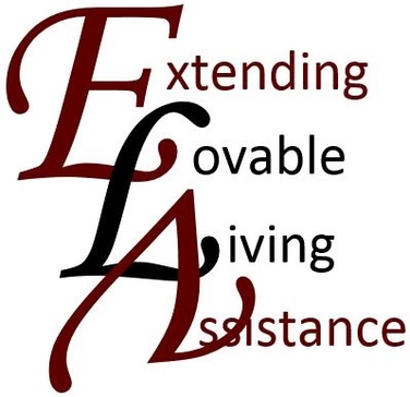 Extending Lovable Living Assistance
