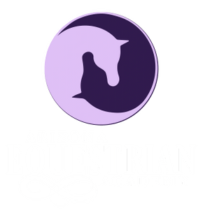 Arizona Equestrian Academy