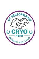 Equine Localized cryotherapy services