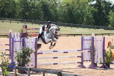 Person riding a horse over a jump in an equestrian event.