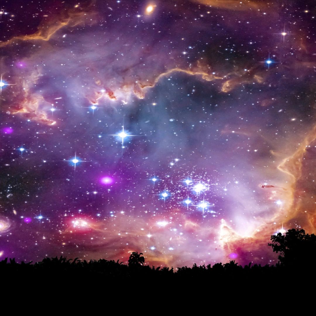 Intuitive Coach Tiffany Rose