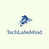 TechLabsMind Technology Hub - IT services and consulting