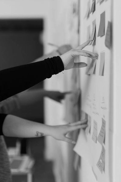 koleksiyon yönetimi