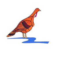 Turkey Creek Golf Course
