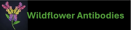 Wildflower Antibodies