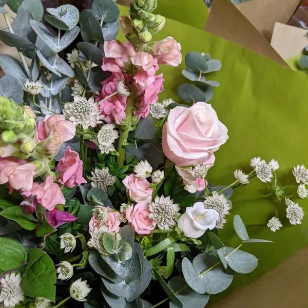 Pink roses and green leaves