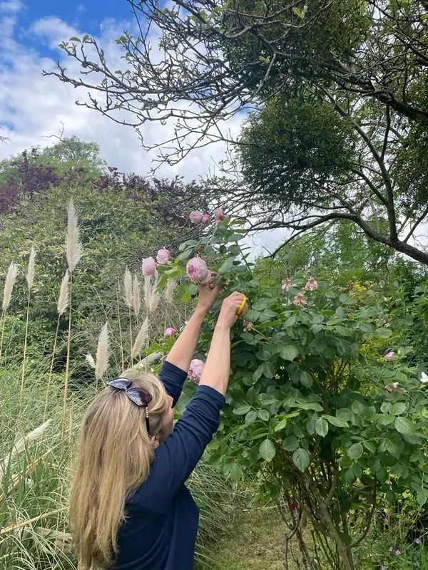 A woman taking flowers from a bush