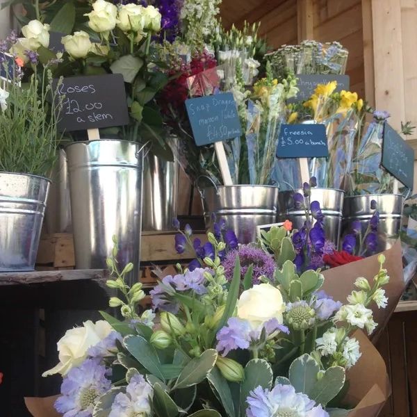 Buckets with flower bouquets