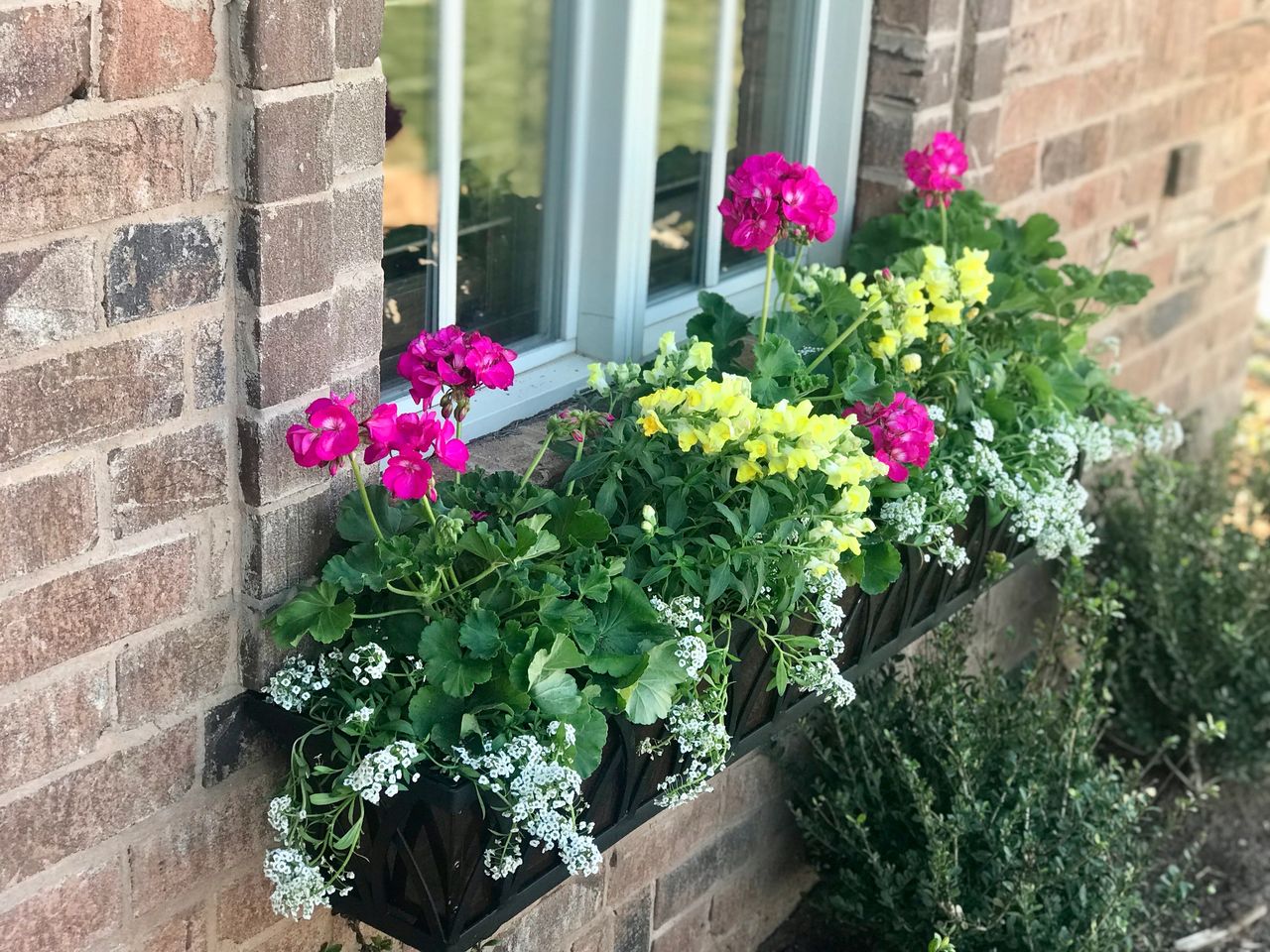 Spring Containers