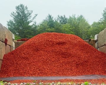 Large pile of dried red chili peppers outdoors between stone walls.