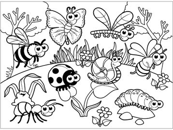 Learn about backyard insects! These bugs play an important role in our gardens and ecosystems.