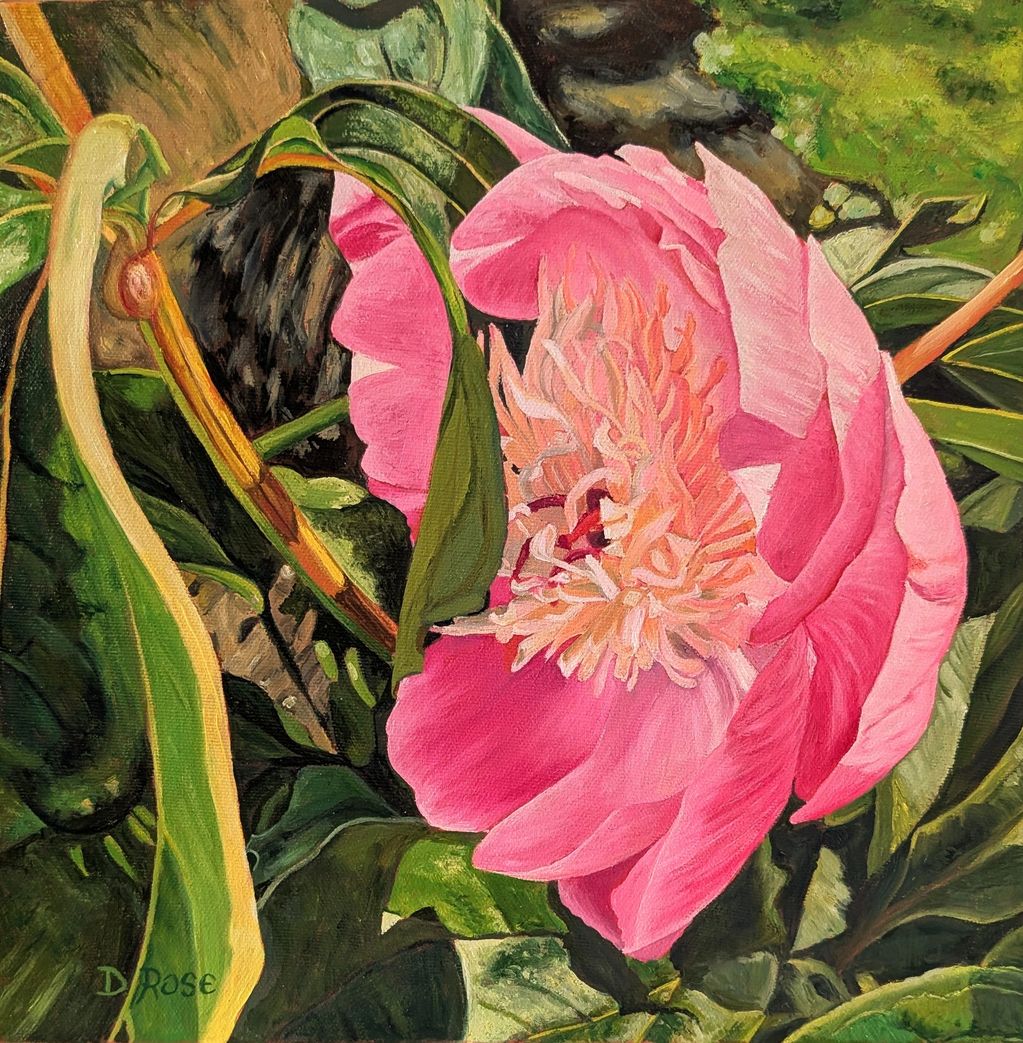 Close-up painting of a vibrant pink peony flower surrounded by green leaves.