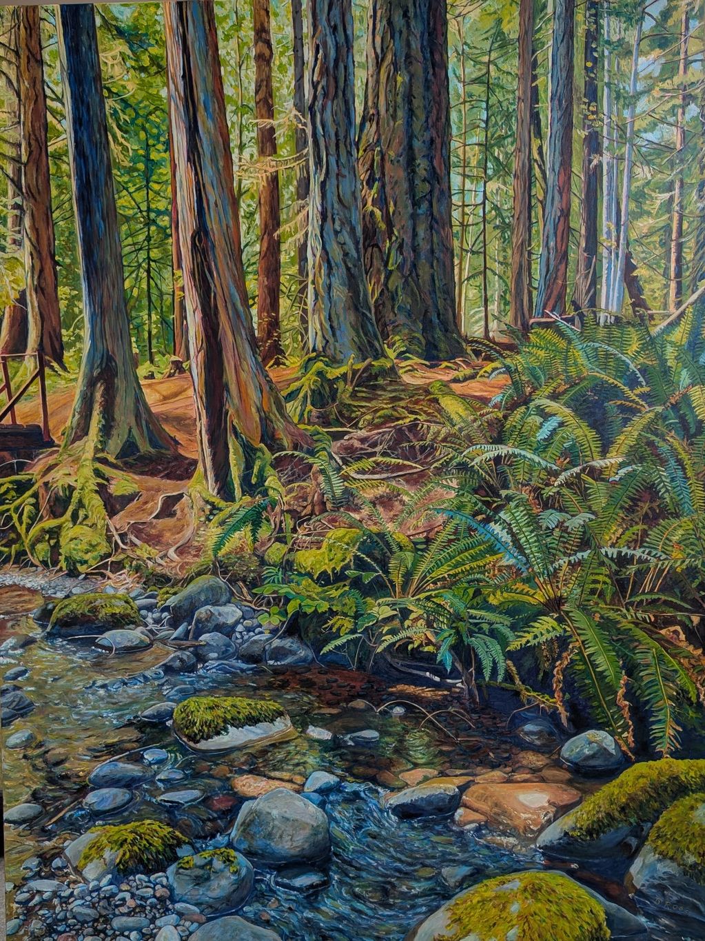 A tranquil forest stream surrounded by tall trees and lush ferns.