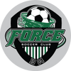 Force Soccer Club