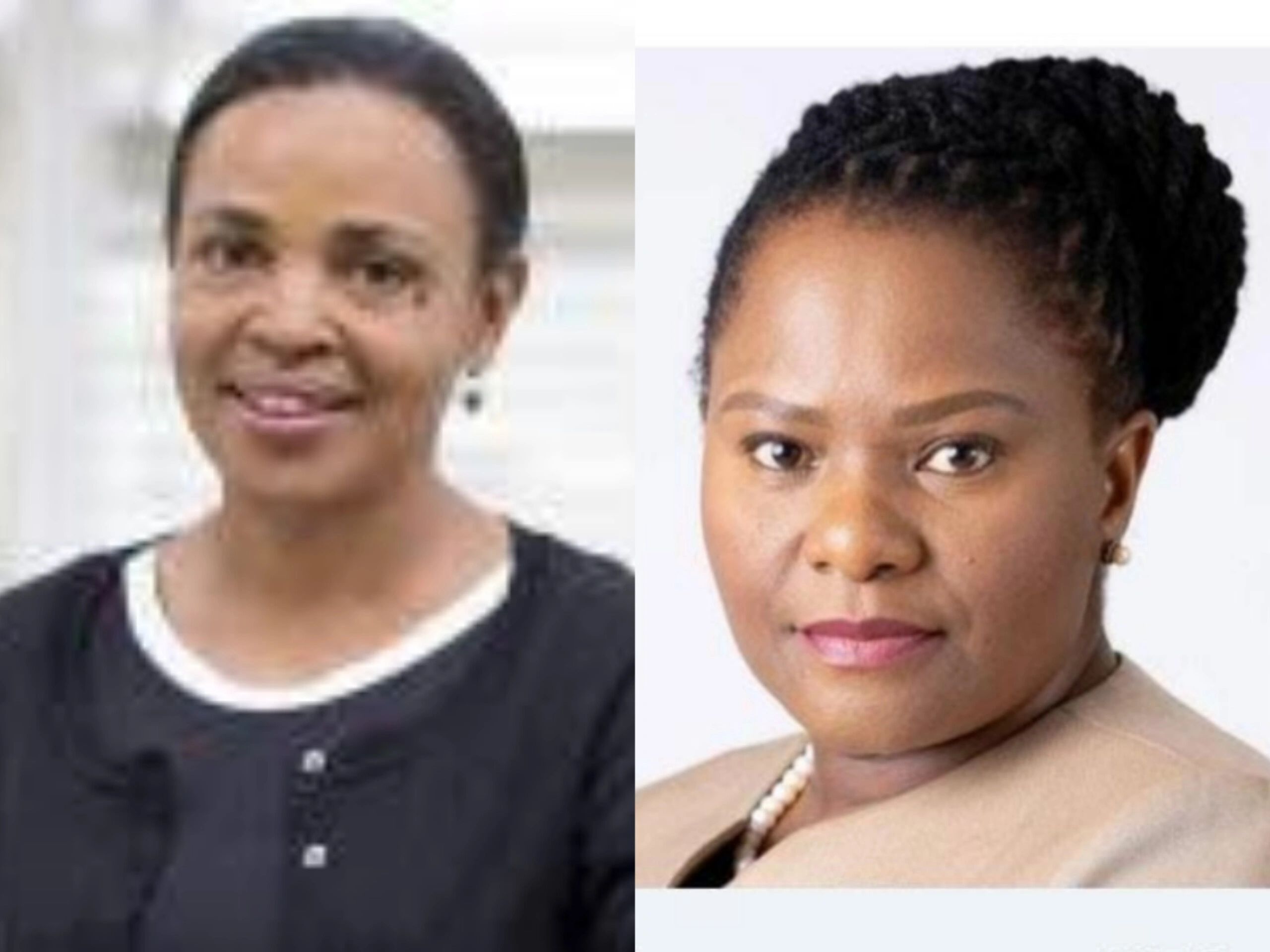 TRANSNET CEO AND CFO QUIT visual data 4